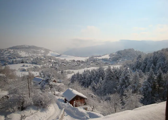 Family Diana Hotel 3*